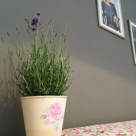 Apartament Neda Split